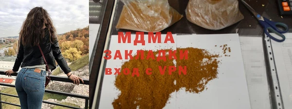 индика Алзамай