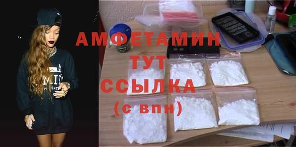 индика Алзамай