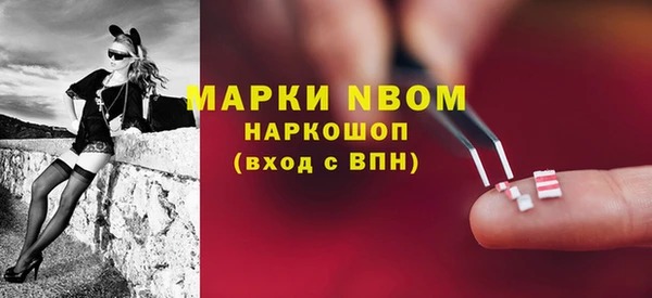 индика Алзамай