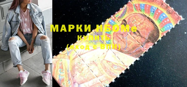 индика Алзамай