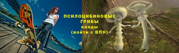 хмурый Алексеевка