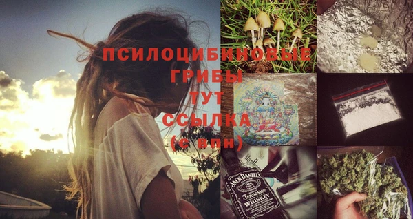 индика Алзамай