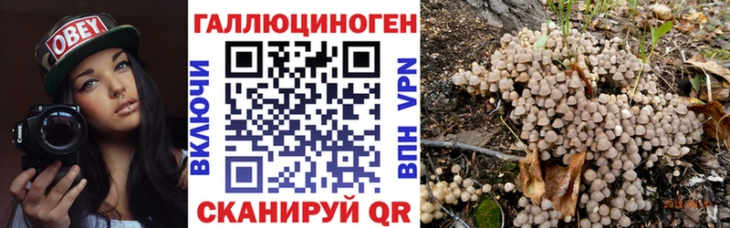 где купить наркотик  Алдан  Псилоцибиновые грибы Psilocybe 